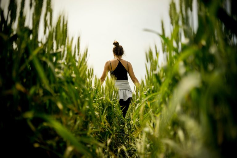 What is ashwagandha good for