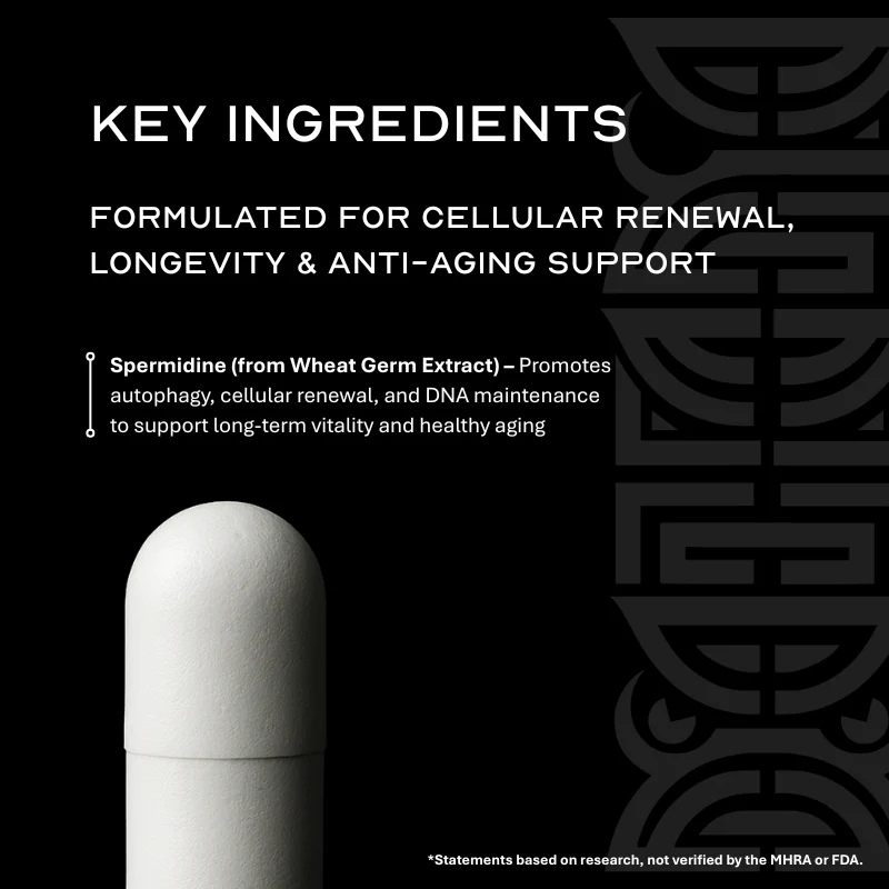 spermidine reviews
